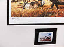Load image into Gallery viewer, Guy Coheleach - 1983 Boone And Crockett Club Stamp Print With Stamp - Brand New Custom Sporting Frame