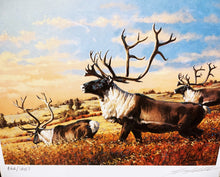 Load image into Gallery viewer, Guy Coheleach - 1983 Boone And Crockett Club Stamp Print With Stamp - Brand New Custom Sporting Frame