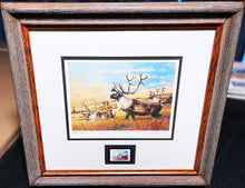 Load image into Gallery viewer, Guy Coheleach 1983 Boone And Crockett Club Stamp Print With Stamp - Brand New Super Custom Sporting Frame