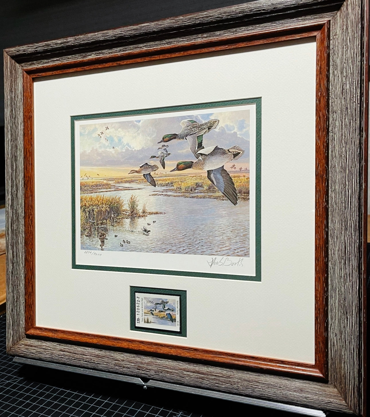 Herb Booth 1986 Texas Waterfowl Duck Stamp Print With Stamp - Brand New Custom Sporting Frame