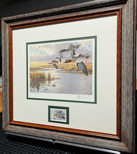 Herb Booth - 1986 Texas Waterfowl Duck Stamp Print With Stamp - Brand New Custom Sporting Frame