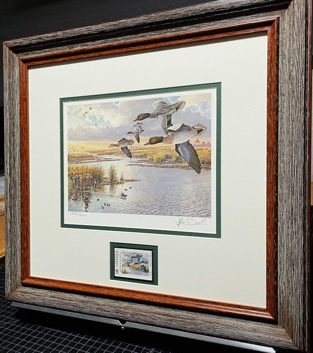 Herb Booth 1986 Texas Waterfowl Duck Stamp Print With Stamp - Brand New Super Custom Sporting Frame