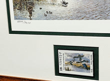 Load image into Gallery viewer, Herb Booth 1986 Texas Waterfowl Duck Stamp Print With Stamp - Brand New Custom Sporting Frame