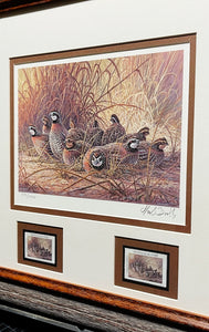 Herb Booth 1996 Texas Quail Stamp Print With Double Stamps Artist Proof - Brand New Super Custom Sporting Frame