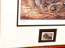 Load image into Gallery viewer, Herb Booth 1996 Texas Quail Stamp Print With Stamp Mint - Brand New Custom Sporting Frame