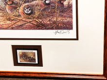 Load image into Gallery viewer, Herb Booth 1996 Texas Quail Stamp Print With Stamp Mint - Brand New Super Custom Sporting Frame