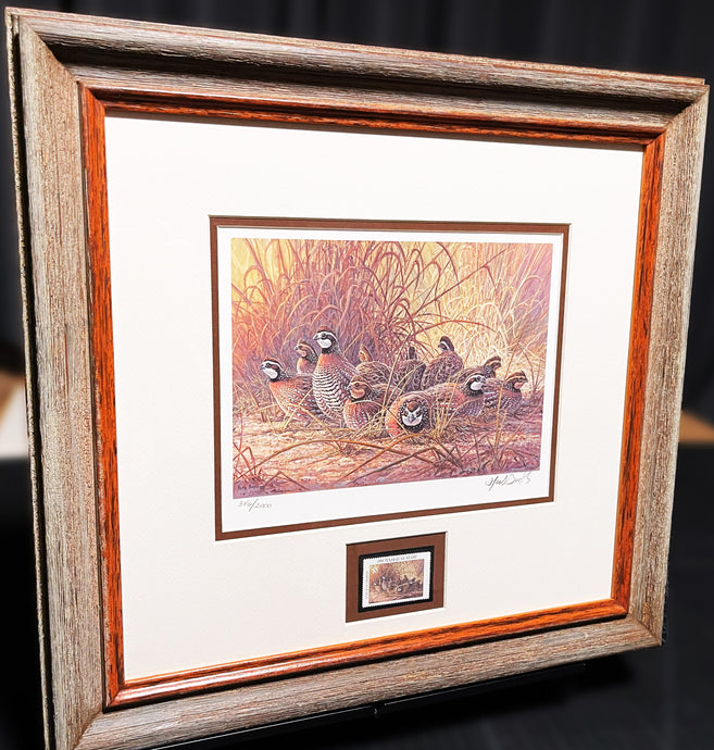 Herb Booth 1996 Texas Quail Stamp Print With Stamp Mint - Brand New Custom Sporting Frame