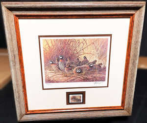Herb Booth 1996 Texas Quail Stamp Print With Stamp Mint - Brand New Custom Sporting Frame