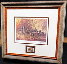 Load image into Gallery viewer, Herb Booth 1996 Texas Quail Stamp Print With Stamp Mint - Brand New Super Custom Sporting Frame