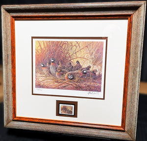 Herb Booth 1996 Texas Quail Stamp Print With Stamp Mint - Brand New Super Custom Sporting Frame