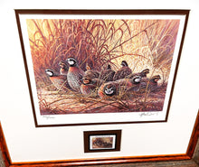 Load image into Gallery viewer, Herb Booth 1996 Texas Quail Stamp Print With Stamp Mint - Brand New Super Custom Sporting Frame