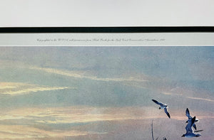 Herb Booth Bueno Suerte Lithograph Coastal Conservation Association CCA - Brand New Super Custom Sporting Frame