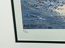 Load image into Gallery viewer, Herb Booth Bueno Suerte Lithograph Coastal Conservation Association CCA - Brand New Super Custom Sporting Frame