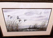 Load image into Gallery viewer, Herb Booth Winding Original Watercolor Painting Half Sheet - Greenhead Mallards In Flight - Custom Frame