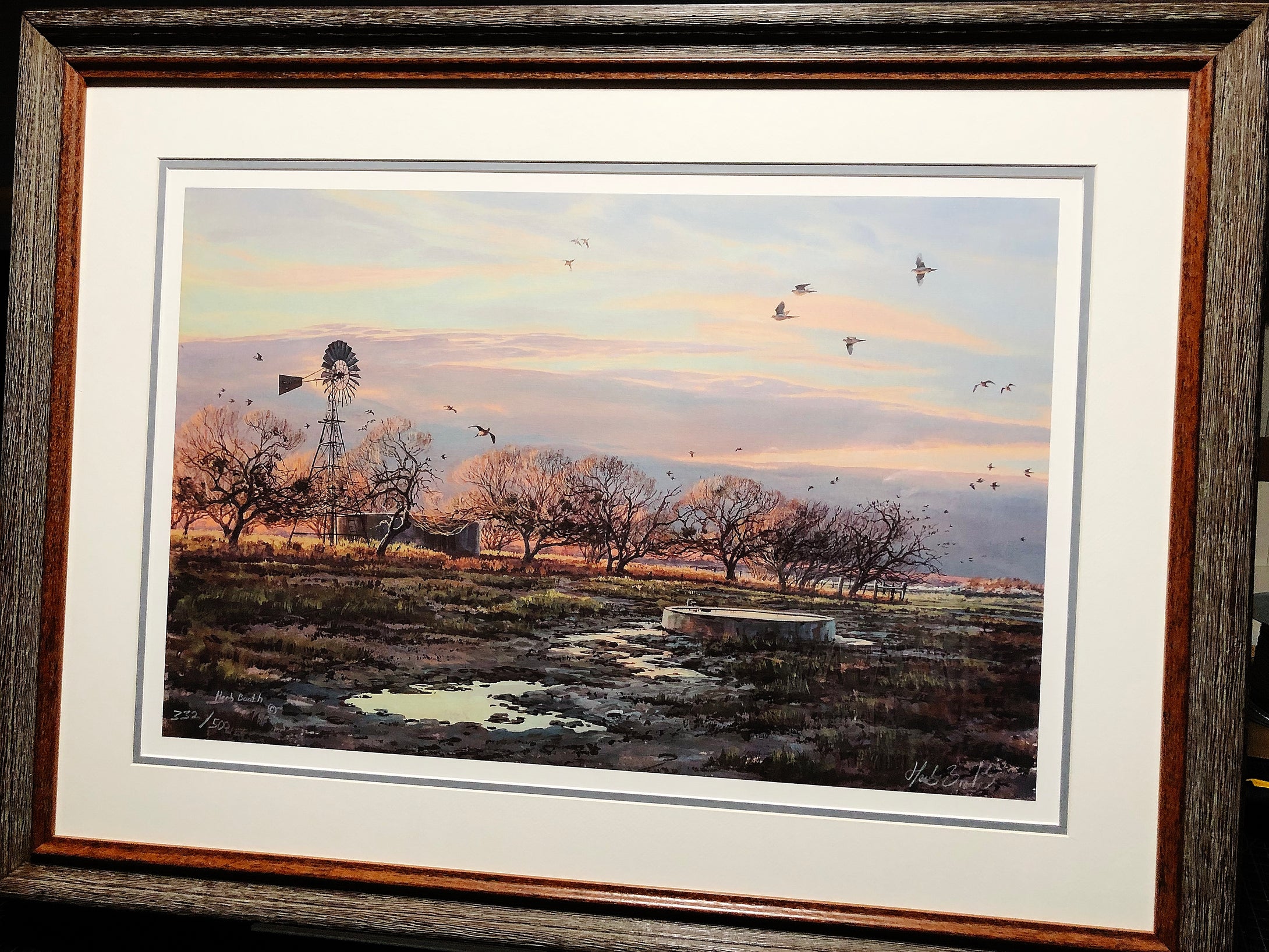 Herb Booth Winter Dove Lithograph - Brand New Custom Sporting Frame