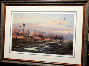 Herb Booth "Winter Dove" Lithograph - Published For Coastal Conservation Association CCA - Brand New Custom Sporting Frame