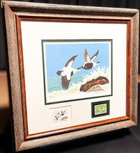 Load image into Gallery viewer, Jackson  Abbott 1957 Federal Waterfowl Duck Stamp Print With Inlay And Stamp - Brand New Super Custom Sporting Frame