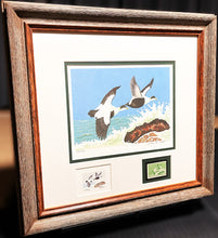 Load image into Gallery viewer, Jackson  Abbott - 1957 Federal Waterfowl Duck Stamp Print With Inlay &amp; Stamp - Brand New Custom Sporting Frame