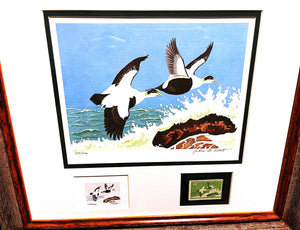Jackson  Abbott - 1957 Federal Waterfowl Duck Stamp Print With Inlay And Stamp - Brand New Custom Sporting Frame