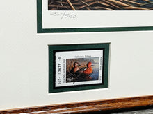 Load image into Gallery viewer, James Hautman 1997 Texas Waterfowl Duck Stamp Print With Double Stamps - Brand New Super Custom Sporting Frame