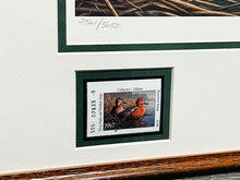 Load image into Gallery viewer, James Hautman - 1997 Texas Duck Stamp Print With Double Stamps - Brand New Custom Sporting Frame