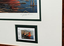 Load image into Gallery viewer, James Hautman 1997 Texas Waterfowl Duck Stamp Print With Double Stamps - Brand New Super Custom Sporting Frame