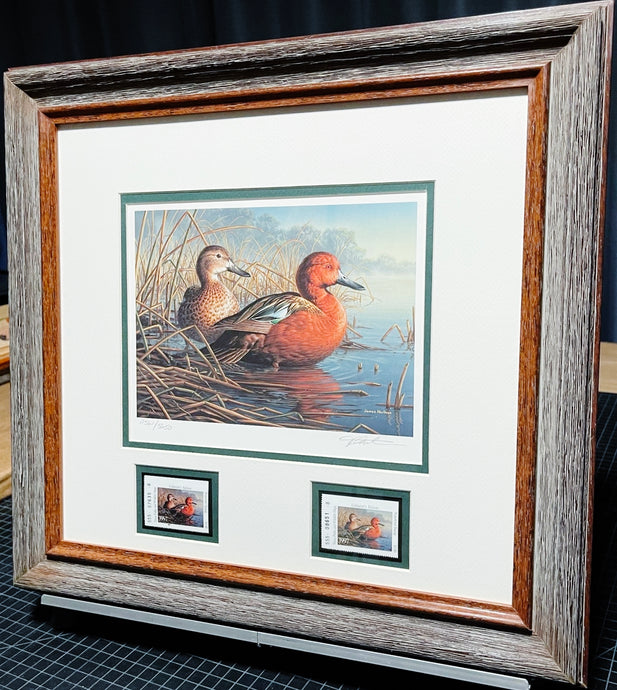 James Hautman 1997 Texas Waterfowl Duck Stamp Print With Double Stamps - Brand New Super Custom Sporting Frame