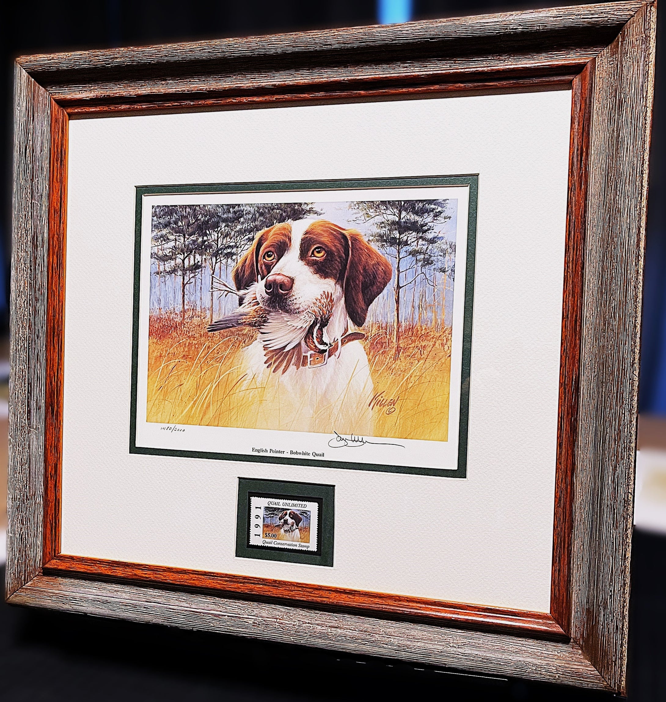 James Killen 1991 Quail Unlimited Stamp Print W Stamp - Brand New Super Custom Sporting Frame