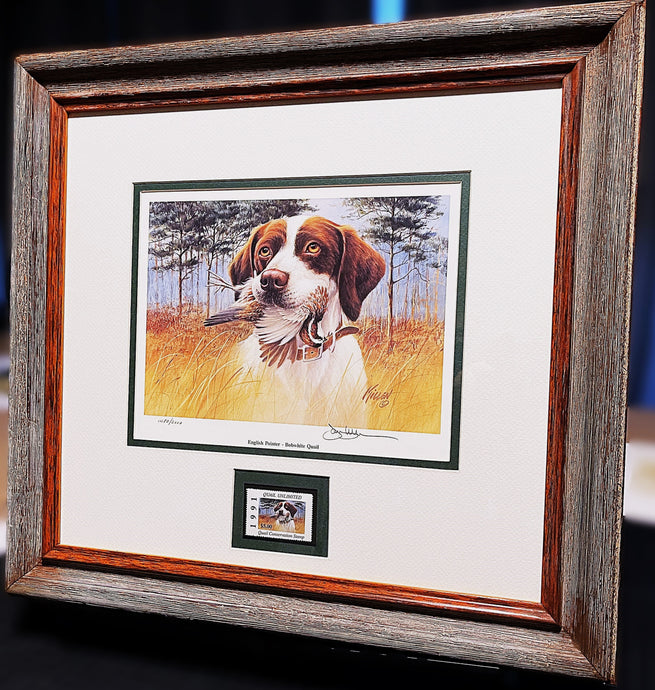 James Killen 1991 Quail Unlimited Stamp Print W Stamp - Brand New Super Custom Sporting Frame