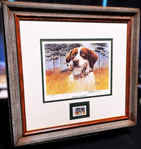 James Killen 1991 Quail Unlimited Stamp Print W Stamp - Brand New Super Custom Sporting Frame