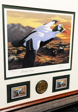 Load image into Gallery viewer, Joe Hautman 1992 Federal Duck Stamp Print Medallion Edition With Double Stamps - Brand New Super Custom Sporting Frame