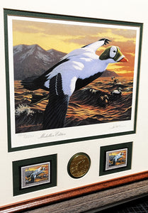 Joe Hautman 1992 Federal Duck Stamp Print Medallion Edition With Double Stamps - Brand New Super Custom Sporting Frame