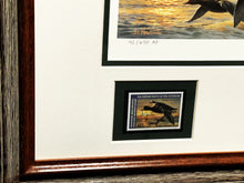 Load image into Gallery viewer, Joe Hautman 2012 Federal Duck Stamp Print Artist Proof With 2 Stamps - Brand New Frame