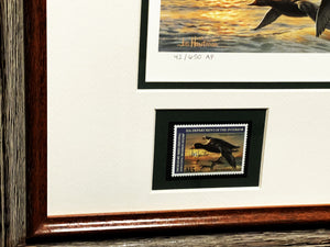 Joe Hautman 2012 Federal Duck Stamp Print Artist Proof With 2 Stamps - Brand New Frame