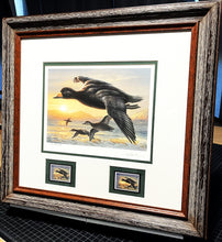 Load image into Gallery viewer, Joe Hautman 2012 Federal Duck Stamp Print Artist Proof With 2 Stamps - Brand New Frame