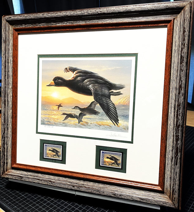 Joe Hautman 2012 Federal Duck Stamp Print Artist Proof With 2 Stamps - Brand New Super Custom Sporting Frame