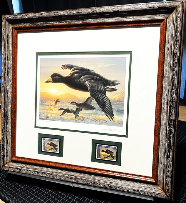 Joe Hautman 2012 Federal Duck Stamp Print Artist Proof With 2 Stamps - Brand New Frame