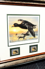 Load image into Gallery viewer, Joe Hautman 2012 Federal Duck Stamp Print Artist Proof With 2 Stamps - Brand New Frame