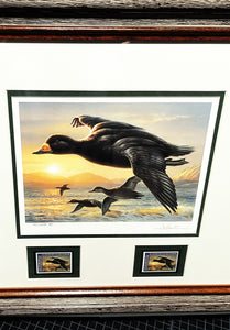 Joe Hautman 2012 Federal Duck Stamp Print Artist Proof With 2 Stamps - Brand New Frame