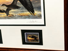 Load image into Gallery viewer, Joe Hautman 2012 Federal Duck Stamp Print Artist Proof With 2 Stamps - Brand New Frame