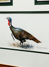 Load image into Gallery viewer, John Dearman - 1991 Texas Turkey Stamp Print Artist Proof 2 Stamps Original Inlay - Brand New Custom Sporting Frame