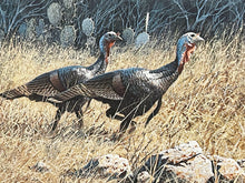 Load image into Gallery viewer, John Dearman - 1991 Texas Turkey Stamp Print Artist Proof 2 Stamps Original Inlay - Brand New Custom Sporting Frame