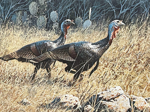 John Dearman - 1991 Texas Turkey Stamp Print Artist Proof 2 Stamps Original Inlay - Brand New Custom Sporting Frame