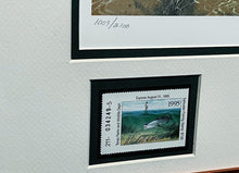Load image into Gallery viewer, John Dearman 1995 Texas Saltwater Stamp Print With Double Stamps - Brand New Custom Sporting Frame