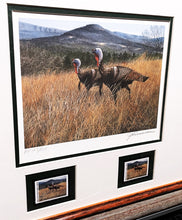 Load image into Gallery viewer, John Dearman 1996 Arkansas Wild Turkey Stamp Print With Double Stamps - Artist Proof - Brand New Super Custom Sporting Frame