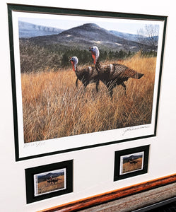 John Dearman 1996 Arkansas Wild Turkey Stamp Print With Double Stamps - Artist Proof - Brand New Super Custom Sporting Frame
