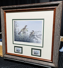Load image into Gallery viewer, John Dearman 1998 Texas Non-Game Stamp Print With Stamp Artist Proof - Brand New Super Custom Sporting Frame