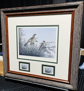 John Dearman 1998 Texas Non-Game Stamp Print With Stamp Artist Proof - Brand New Super Custom Sporting Frame