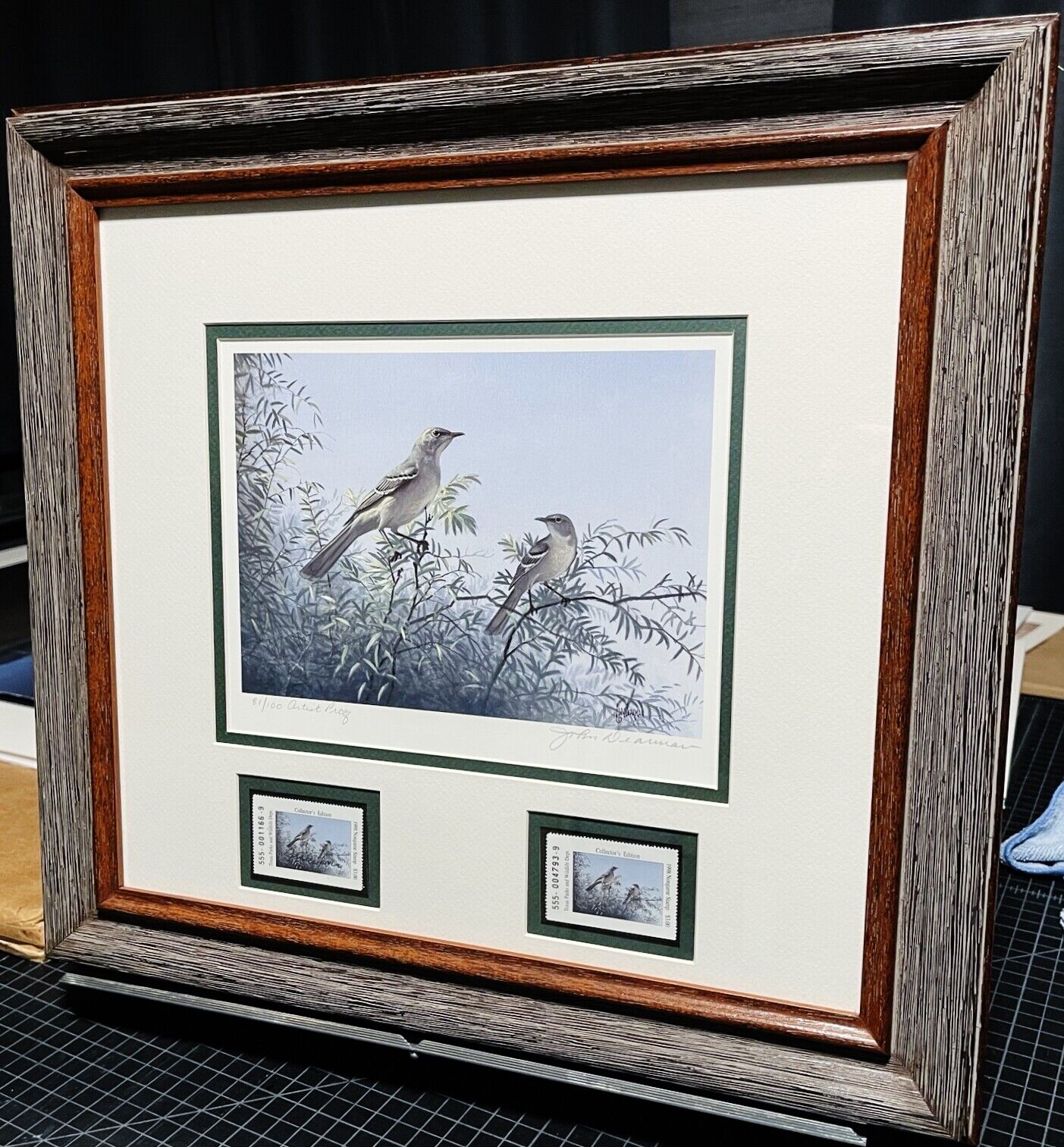 John Dearman - 1998 Texas Non-Game Stamp Print With Stamp Artist Proof - Brand New Custom Sporting Frame