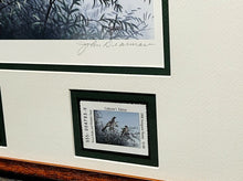 Load image into Gallery viewer, John Dearman 1998 Texas Non-Game Stamp Print With Stamp Artist Proof - Brand New Custom Sporting Frame